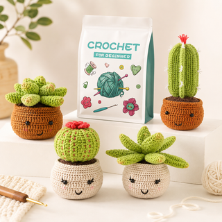 Beginner succulent crochet kit set with yarn tools and tutorial