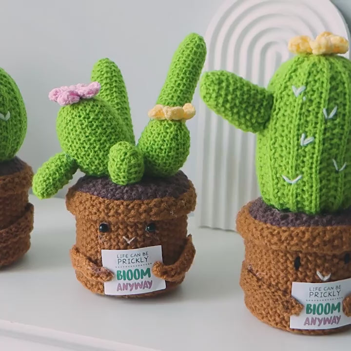 Positive Energy Crochet Cactus Potted Plant video